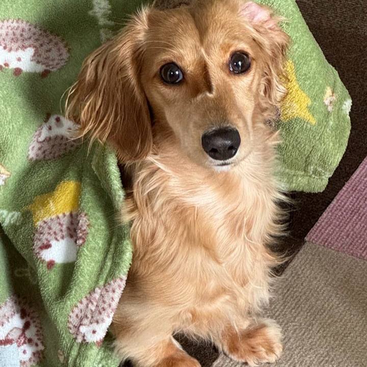 4bb5643c 28ca 4e44 a044 e37a713aed34 1699361492706