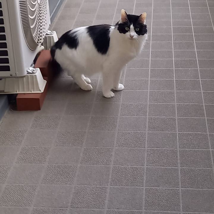 4bb57a13 5dab 4424 8384 11f3ca57a33e 1680959626467