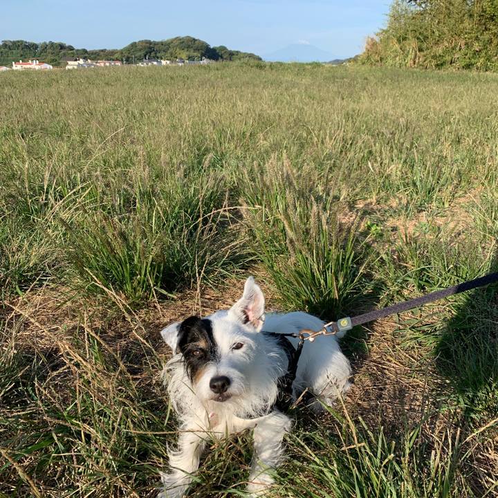 4bb589f9 08cb 4865 a7f5 2e6559ea2e4b 1697671086900