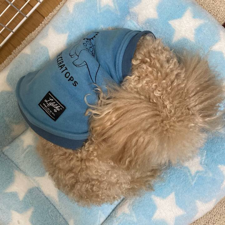 4bb5925c 38bb 47a0 8716 758e0981dd35 1674621583005