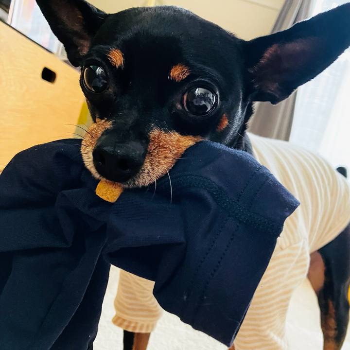 4bb5aa07 4851 4315 b012 b9c7d786abcf 1728706264505