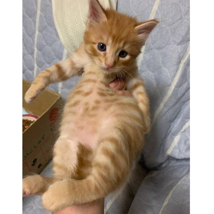 4bb5b476 c2e4 4437 a5f5 646997ef0159 1570804835134