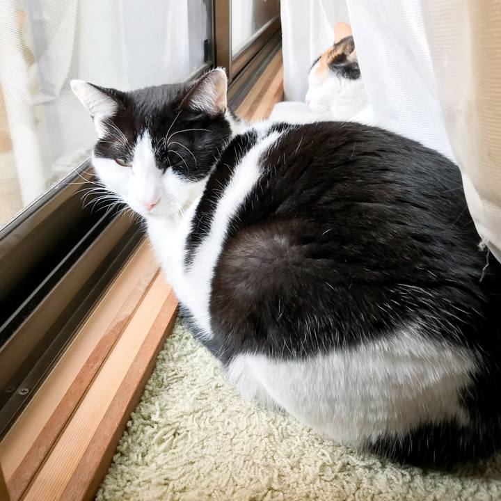 4bb5ca04 cb7d 4e73 bcff 63fdfafaf8b9 1520991129169