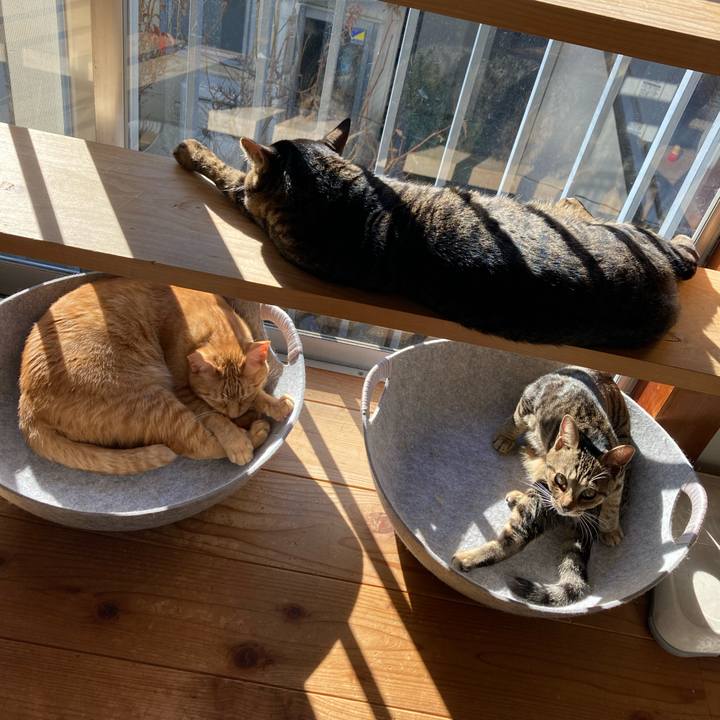 4bb5ebd5 608a 4745 8347 a31a3f102987 1673064390149