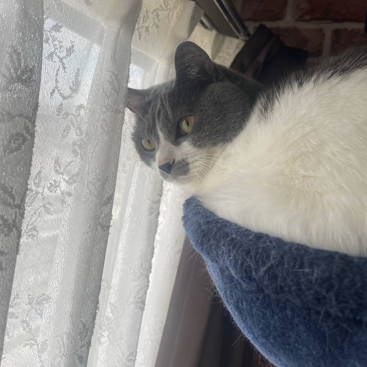 4bb5f314 e843 45c9 8bf3 38a2df25ea6a 1683844211105