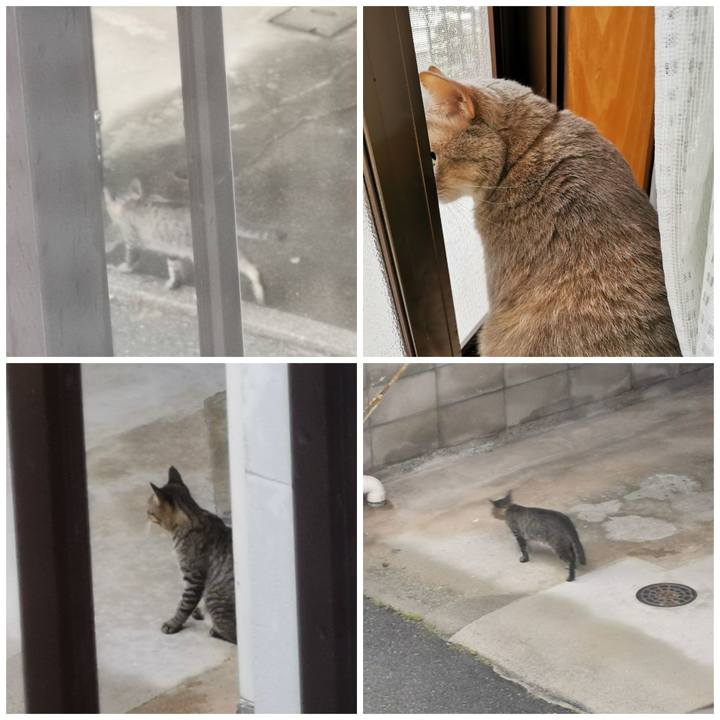 4bb5fe60 c1e8 43c4 aabc bb07a4ec5bfa 1660707293645