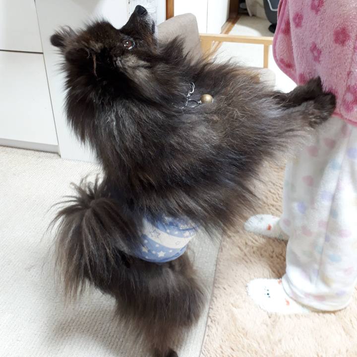 4bb600bb b5bc 4733 8f6e ccd1bc93c6cb 1518896637883