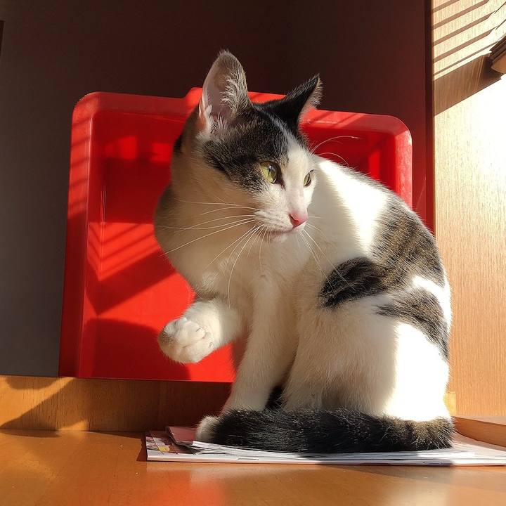 4bb63192 5801 4485 b427 fd2a4282a527 1648337600618