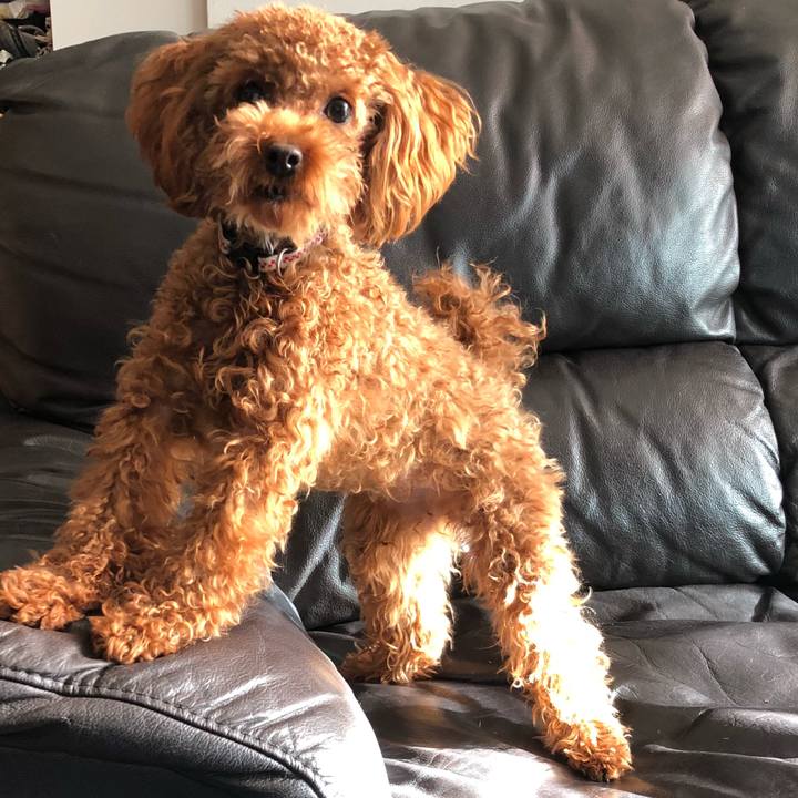 4bb64629 7f2f 472d b15b 9d58752cb329 1513291721527