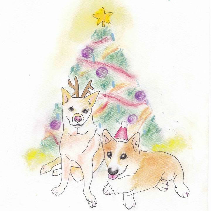 4bb64982 756c 416b 9319 b60189231ab6 1577085166223