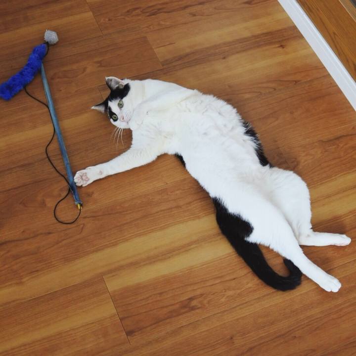 4bb66599 404e 4630 a154 2a2f4ea546cd 1557746399286