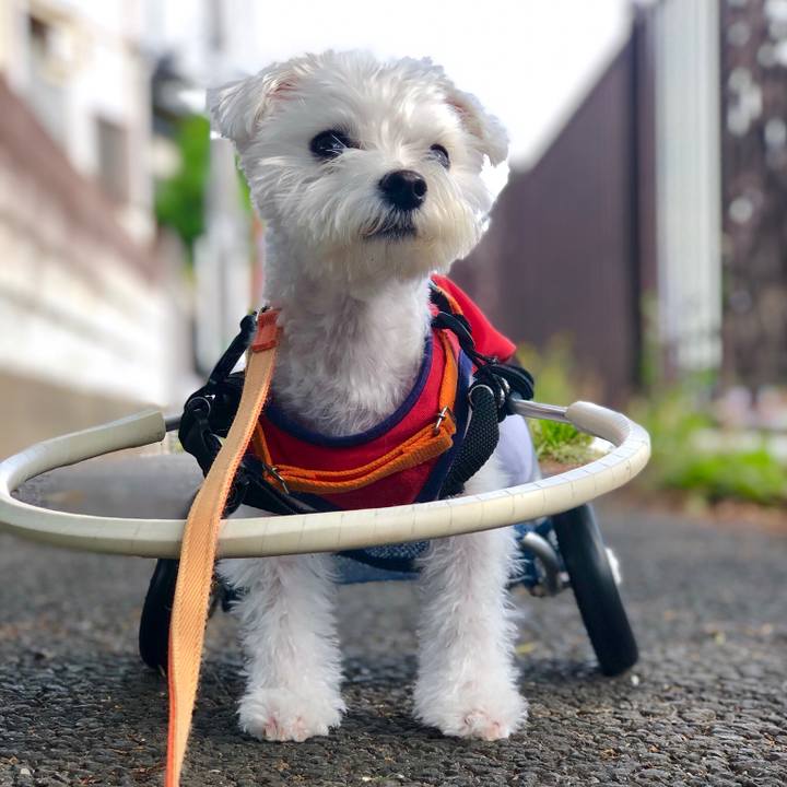 4bb669b3 2e7c 457c a3da 2784f570c320 1557553769147