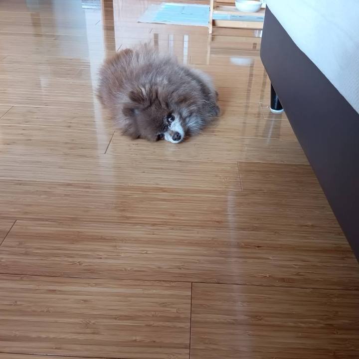 4bb66cb5 659f 478d b080 a463e868f53e 1774675030812