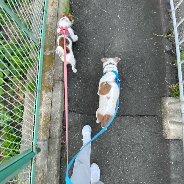 4bb6878f 44e5 44d5 95a9 2f90374dcae6 1696194714354