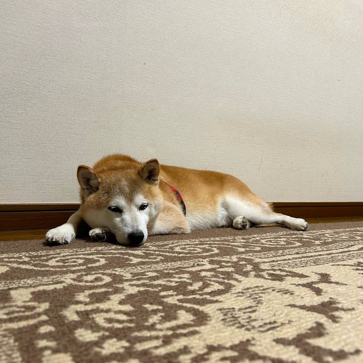 4bb6931f 64a8 454b ab48 ecda28a01370 1723632987491