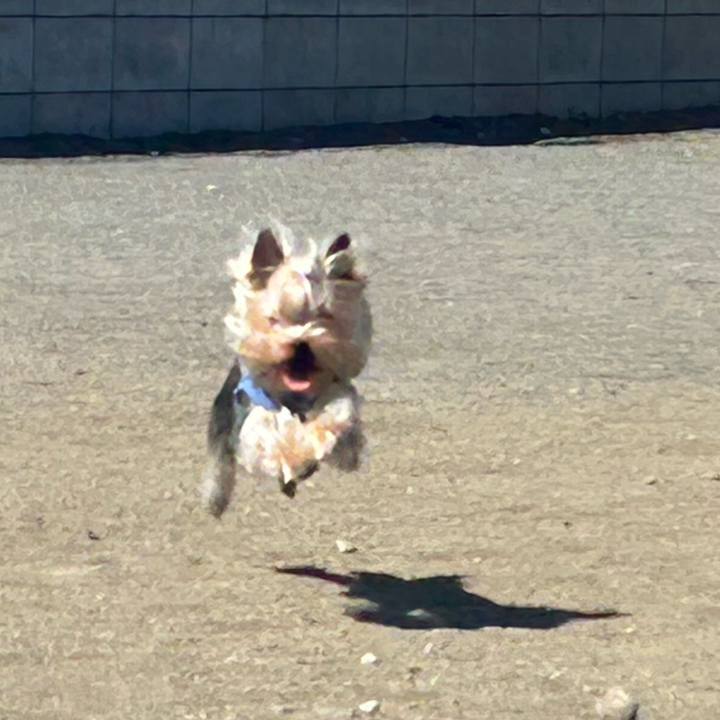 4bb6a4c2 3316 4602 ad42 6933e2a4039a 1774753750408