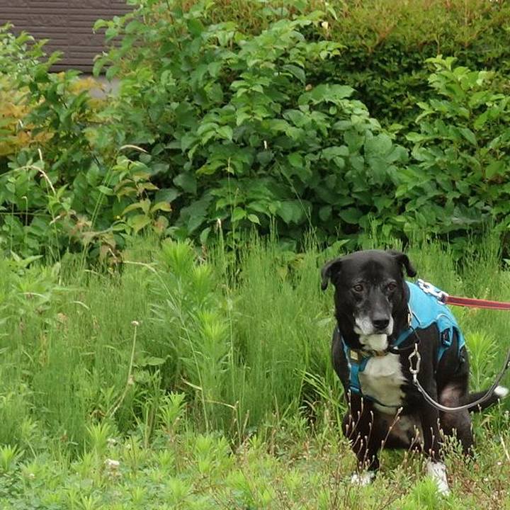 4bb6bf76 94ab 4934 804d 942073aa8be4 1750722335726