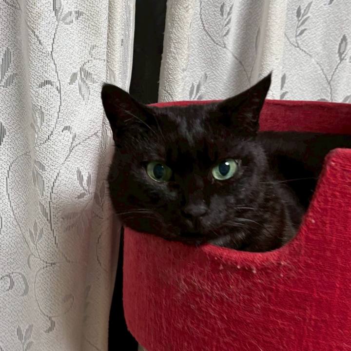 4bb6e39a cc60 4391 9a8d 78db8d5403ed 1761085856520