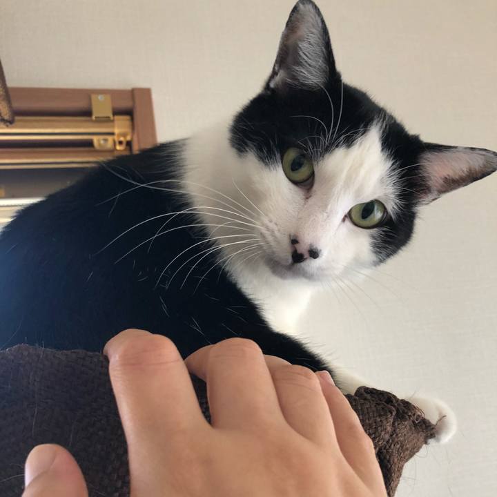 4bb7101f 19fe 407d 8e02 22a66e44a88a 1555553491107