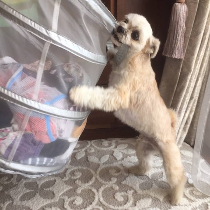 4bb71346 d6e9 4ac3 8133 54578fbf4bb5 1558228215936