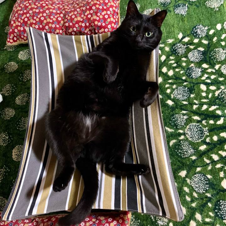 4bb7937f bd28 400b 8d11 aaa398ab5fcf 1681818547313