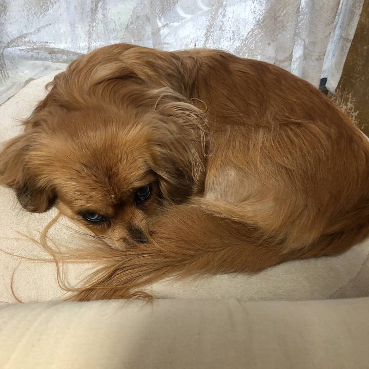 4bb7ab1c 24d6 4d6b bce6 c703d3080f2b 1551306713435