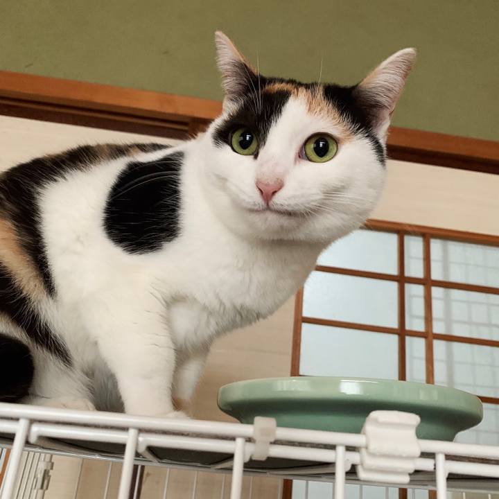 4bb7e395 1e39 4fe0 9c1d 1e150fee9112 1550022698387