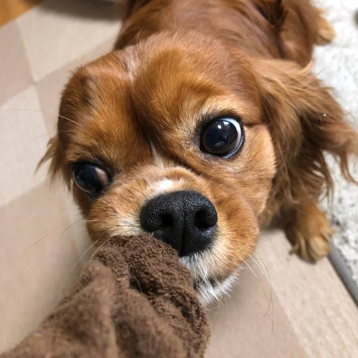 4bb7f7d9 c968 46f7 aab1 a11760a21f62 1618785099351