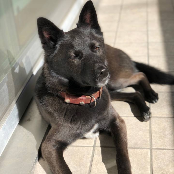 4bb802be 4253 4601 8fa3 52eb99a2da00 1548558196003