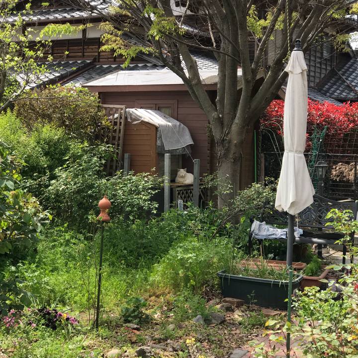 4bb86ca0 36c4 4352 8d2b 5c5a5d97eb6a 1522823466901