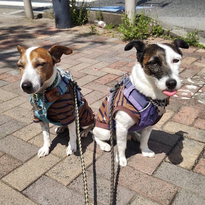 4bb8dee6 3340 4ec7 8a1a adef1a1540ac 1745899261849