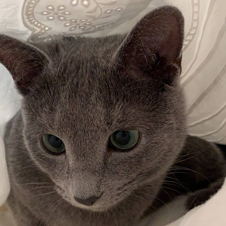 4bb8e445 839f 4f53 9b87 36b5ccf1dbbe 1582411516688