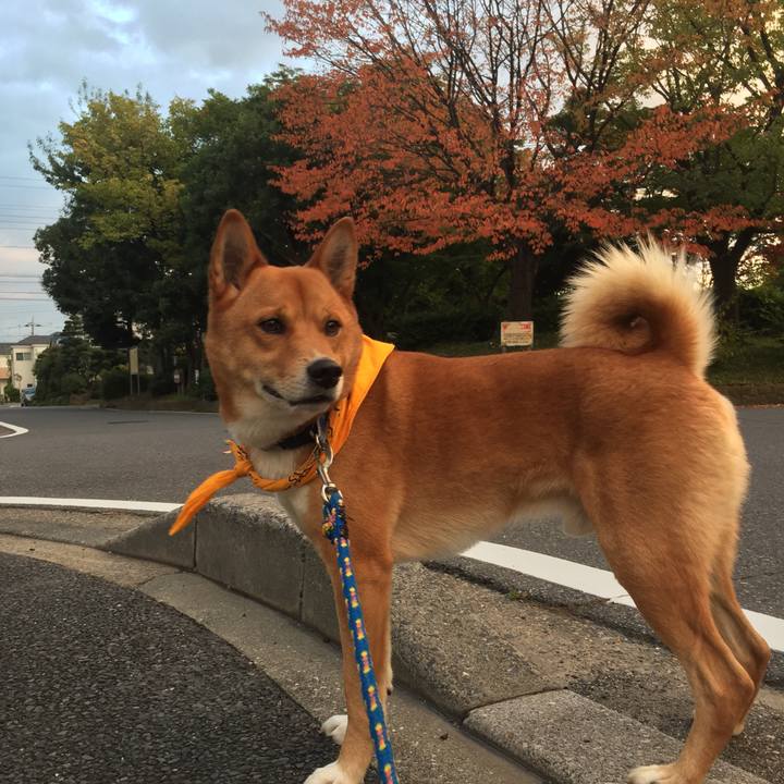 4bb8e885 c8ed 4e5b 8886 f936f1f05664 1509920269524