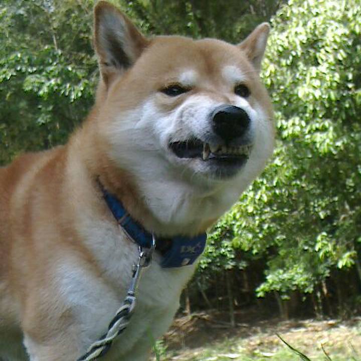 4bb8faf5 c815 40dd 8aa4 ce413351419e 1526024038369