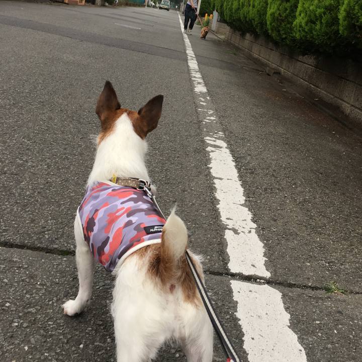 4bb911e3 7990 4181 8eec 385a75b4b8c7 1562294722419