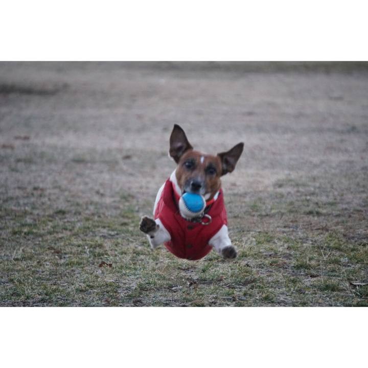 4bb91ac7 40a3 4820 a27c 0dc8fa0ad262 1548111645417