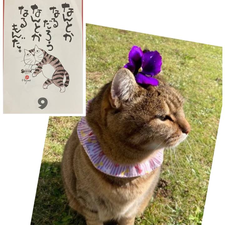 4bb93468 5a02 4c3d bc45 b7db3b203ee5 1765249402668