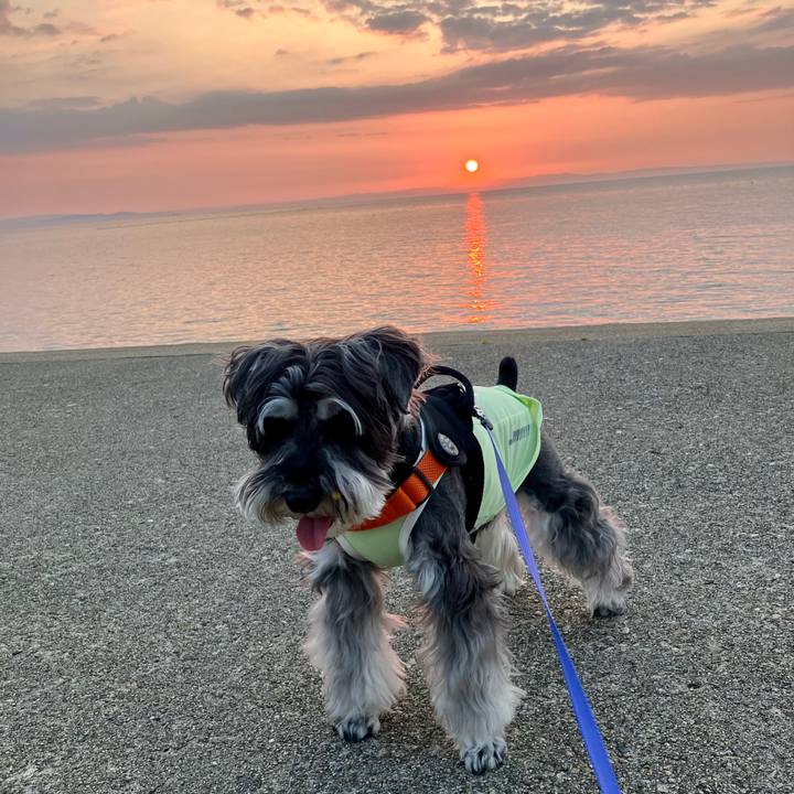 4bb93774 5ba4 4aab b0ff 28396736aa91 1718198990966