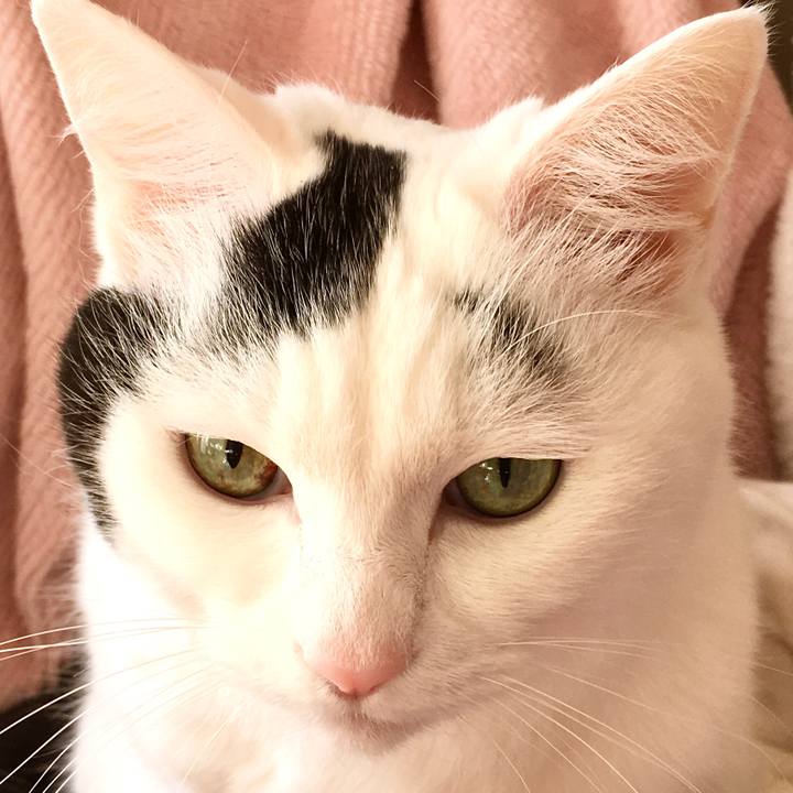 4bb95882 b674 4c74 92bf 92d85482bccb 1577346719207