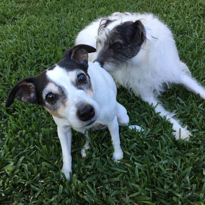 4bb995a6 6959 4bec 8566 63d440ff7bdd 1555718212303