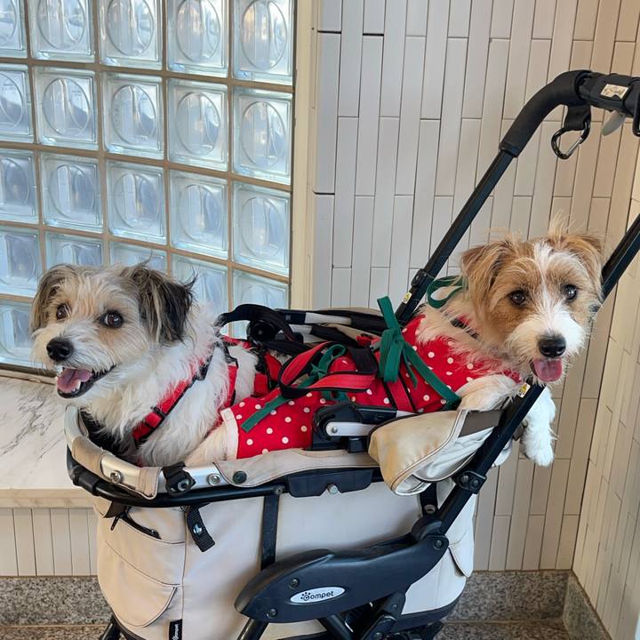 4bb9b1ee 37bd 46cd a7ae c28944bc96e2 1759624059613