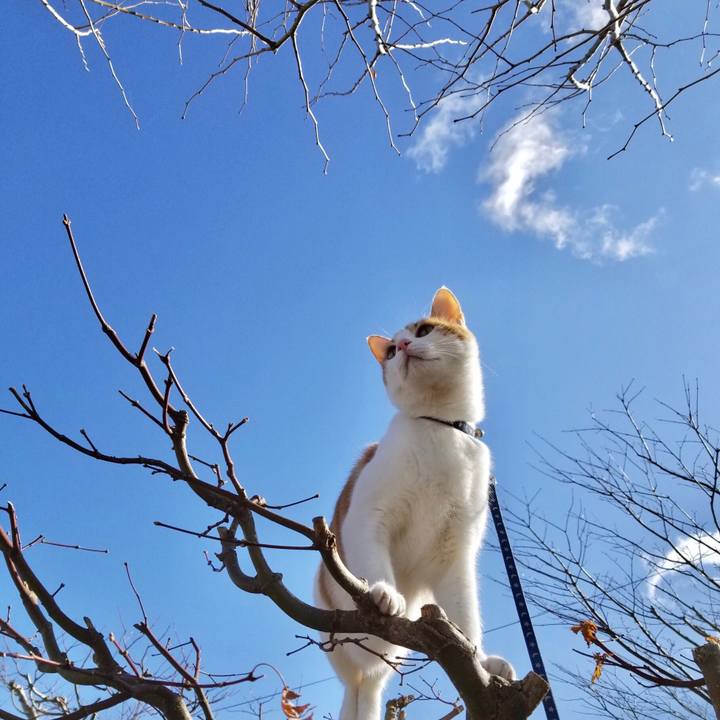 4bb9f671 c942 4b0f a7ac afe2c00a81ca 1546404294916