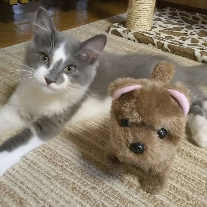 4bba105c f848 4635 810d 8ec132c51b00 1565414785435