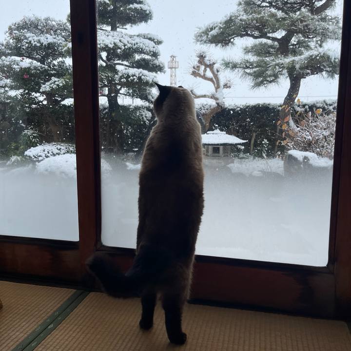 4bba2ae4 5167 43f3 89c5 8d8f641a9ffa 1671839466131