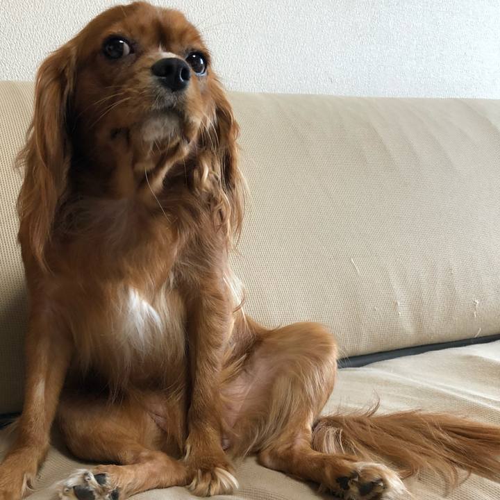 4bbaa4c3 5de5 4fc5 b941 b11df6b903de 1538264372774