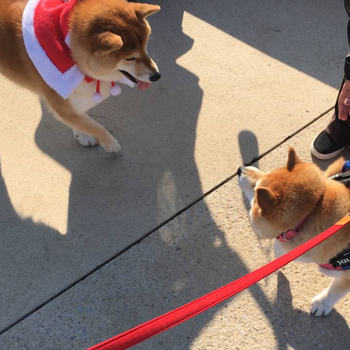 4bbaa4f2 abd6 43b9 8d2b 074b19f9b287 1576316076363