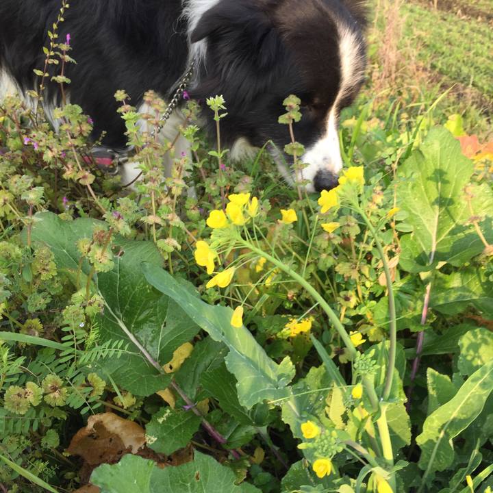 4bbae9c5 69a9 4a14 af00 a66501a72b1d 1576626043707