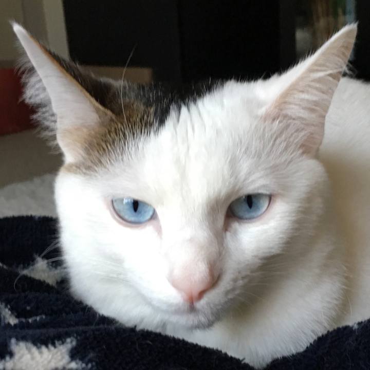 4bbb0111 ca0a 4d6d bdbe c35ca73220f5 1517644284800