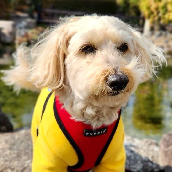 4bbb02d1 119d 4e40 8a6e 38ec3d0be732 1771390760971