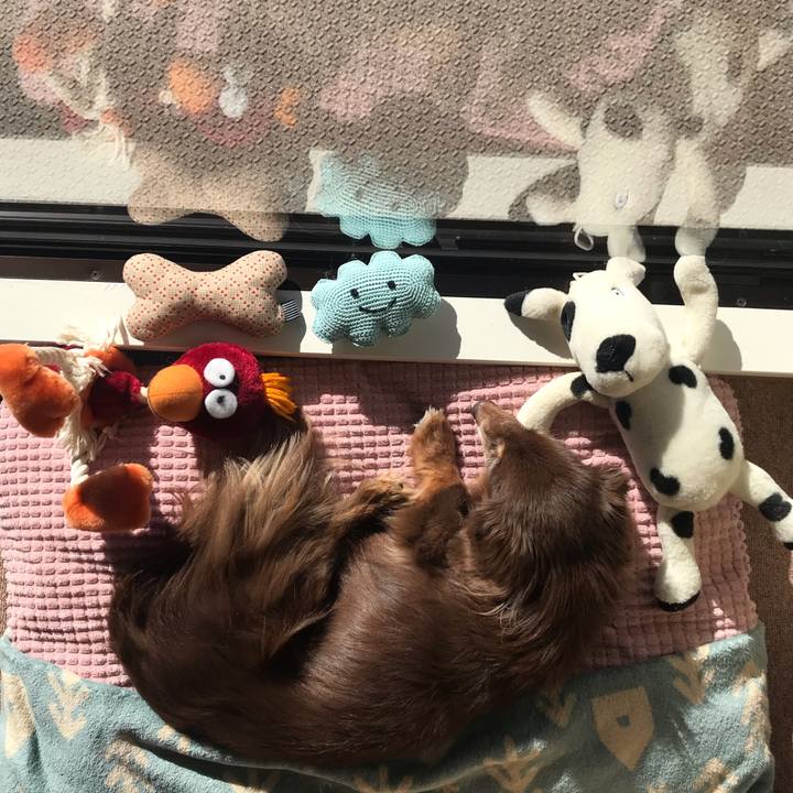 4bbb108d 1000 43e6 ba12 96e53b5665db 1580345421475